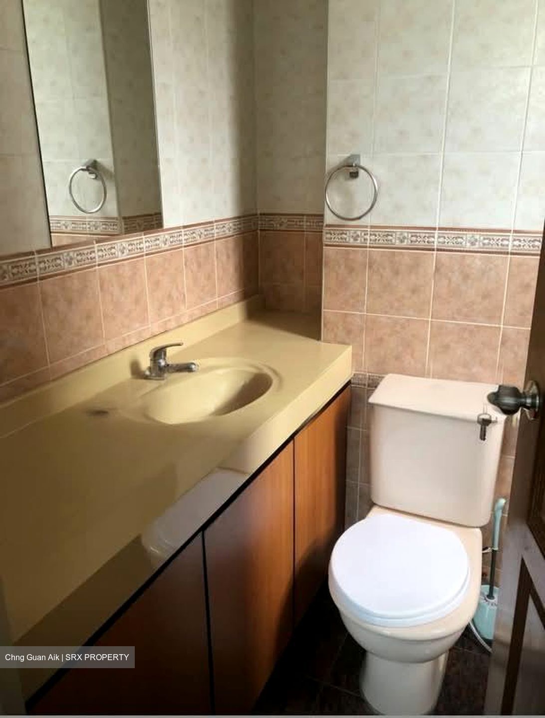 Novena Lodge (D11), Condominium #528685171